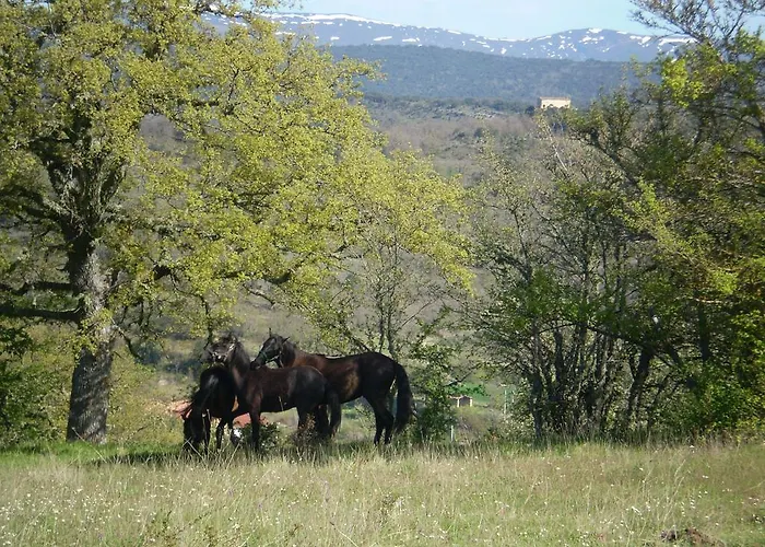 Manzanela Lantställe Nela