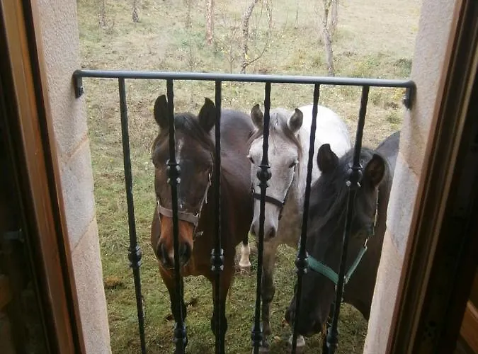 Lantställe Manzanela